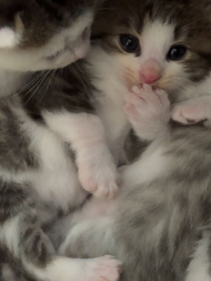 📽 from @江湾镇 | DY
