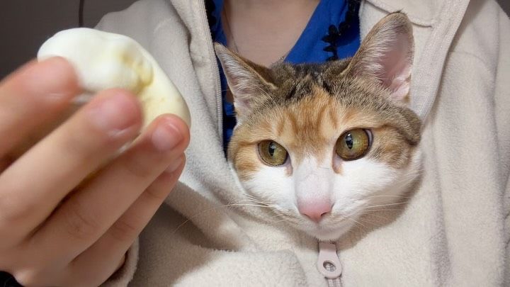 말랑이동아리모집

