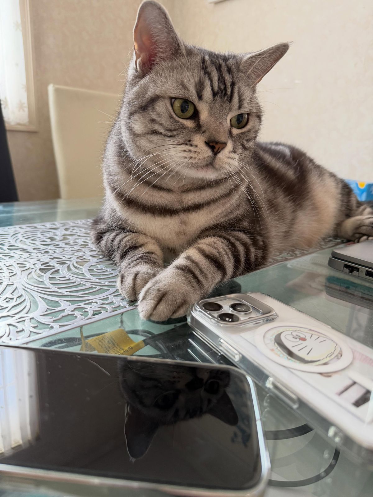 ちょっとやる気あるお。🤨
