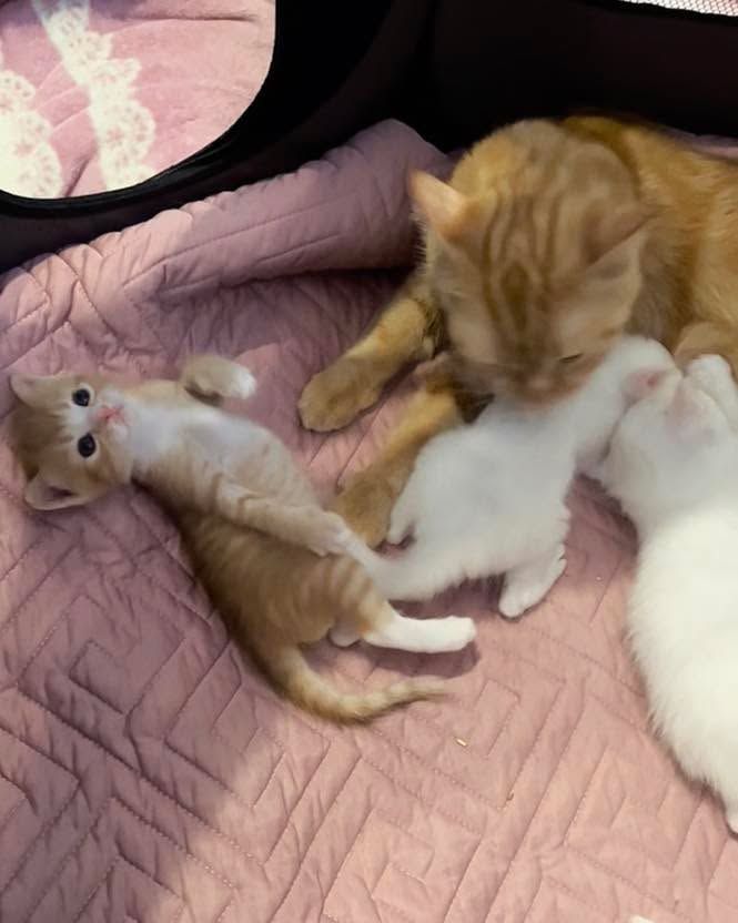 ไหวนะ❤️ 