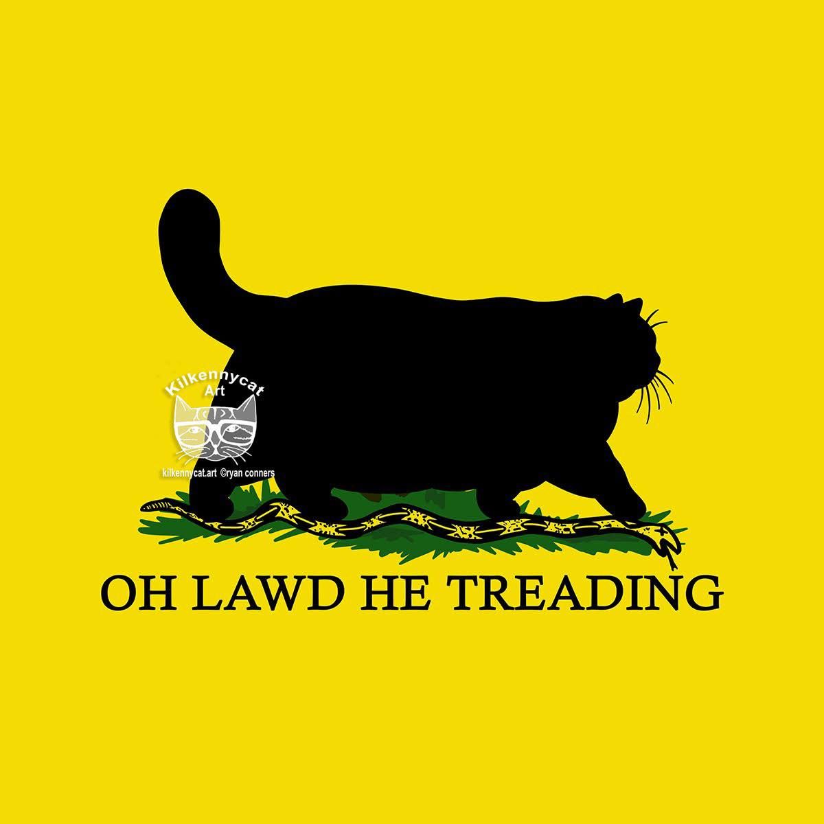 It's been almost 2 years since I created the Oh Lawd He Treading cat. Since then, I've seen a ridiculous amount of rips of it. It's such a major bummer when something you created takes off, then gets diluted by outrageous theft and copies. Someone is now trying to trademark a ripped version. So I filed an extension to oppose the trademark, and am waiting to speak to a lawyer about filing a Letter of Protest to stop it. I can't afford to petition to cancel the trademark ($600) so hoping the LoP for $50 can stop it. Please support living artists, because we're up against so much theft. The headaches and hardships it causes, with thieves polluting the markets, drowning out original creators. Every time a thief makes a sale, it emboldens them to steal more.
You can find all my original versions of Oh Lawd He Treading in my Etsy.
https://www.etsy.com/shop/KilkennyCatArtByRyan