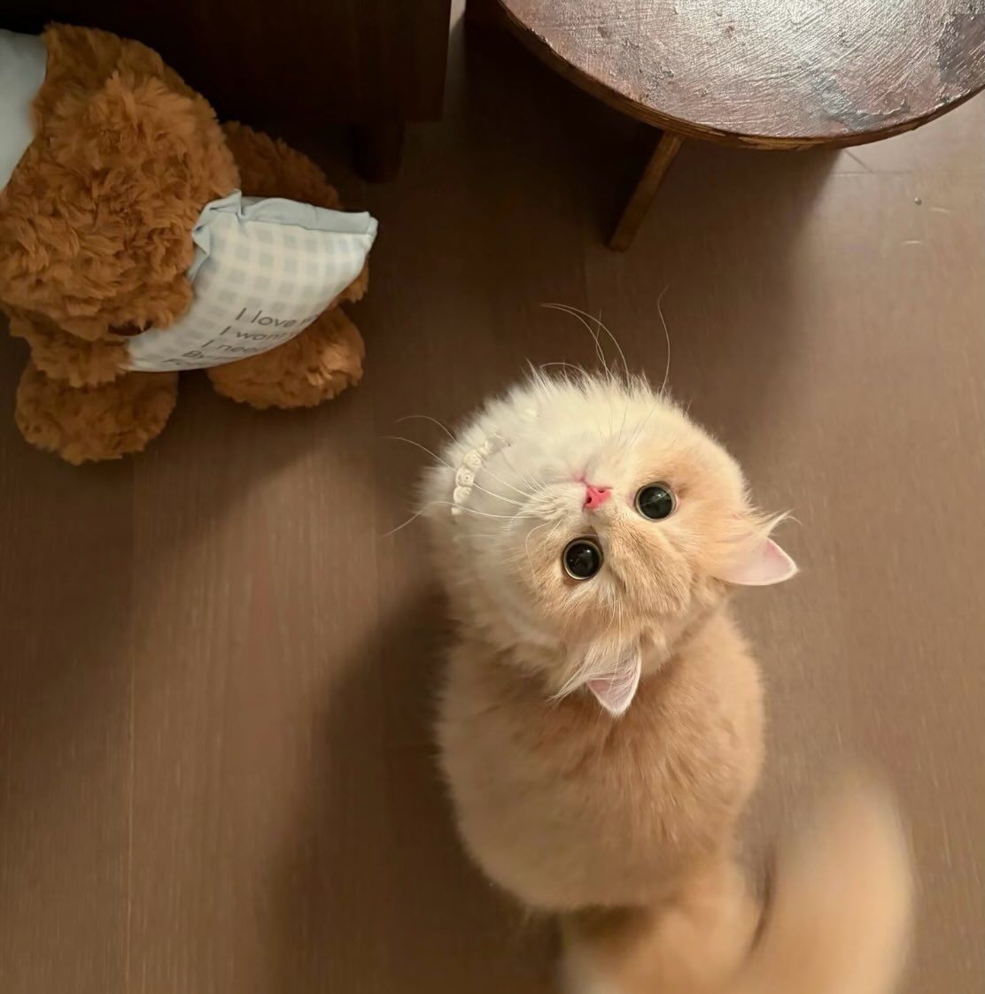 cutie♡

.
.
.
.
.
.
 
.
