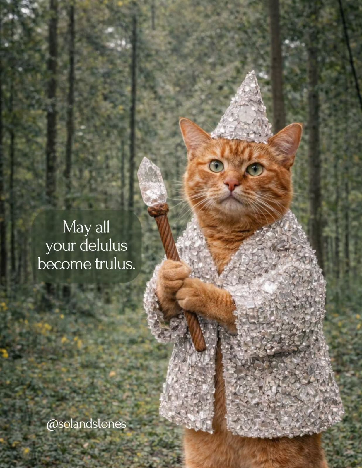 May your delulus become trulus ✨
What you keep imagining is not random. It is a glimpse of what you are meant to experience.
The key is consistency. The same thought, the same vision, the same energy repeated daily begins to take form in your reality. What once felt like a dream starts to feel familiar, and then it becomes yours.
This is exactly what we are doing inside the 30-Day Manifestation Challenge. One clear focus. One aligned statement. Daily repetition through the 3•6•9 method.
If you are ready to turn your delulu into trulu… come join us inside the community.
Comment COMMUNITY and I’ll send you the link to join the community ✨