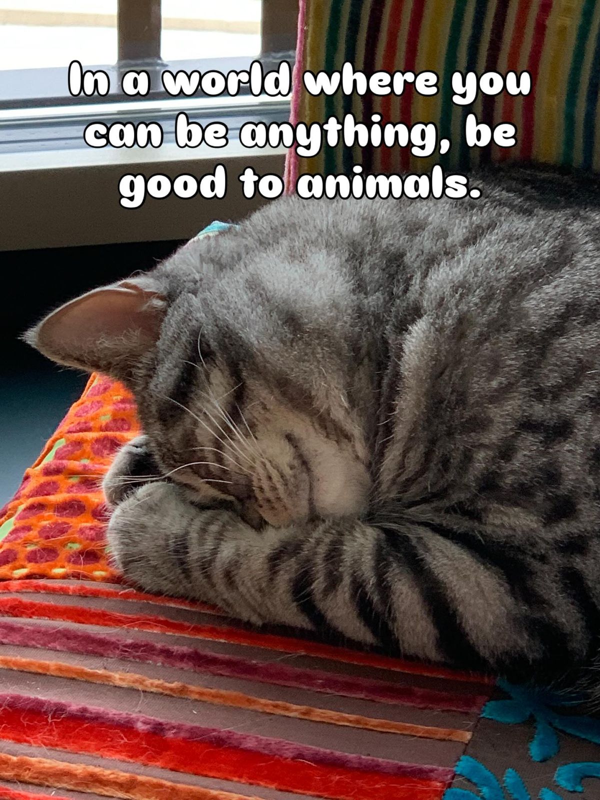 ♥️♥️♥️♥️♥️♥️♥️

