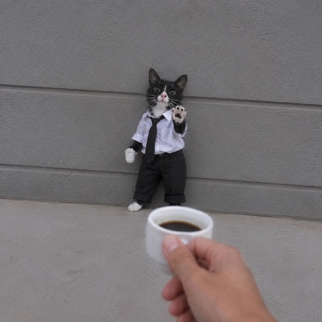 🤚🏻☕️


