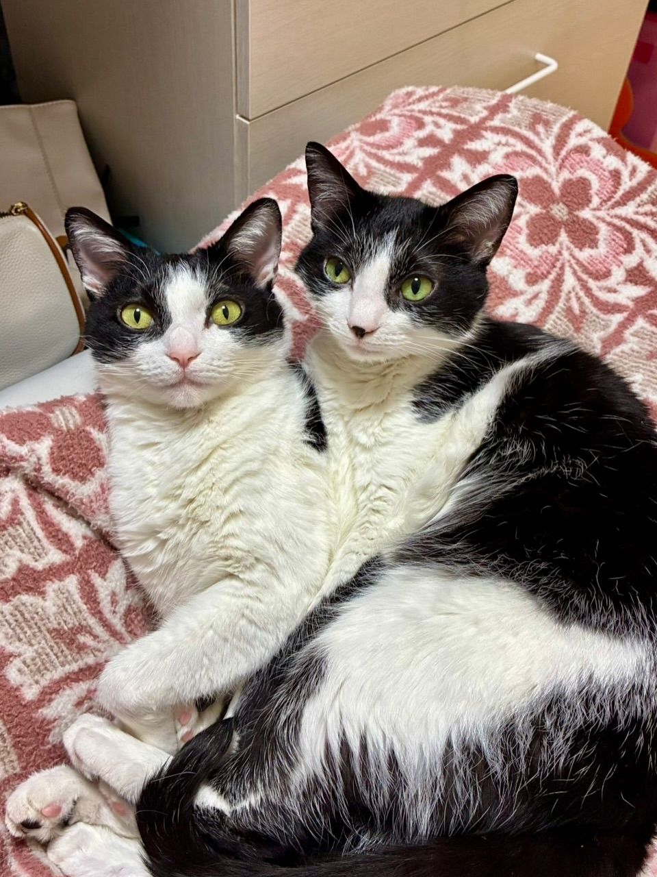 なんか一体化してる🤭❤️

