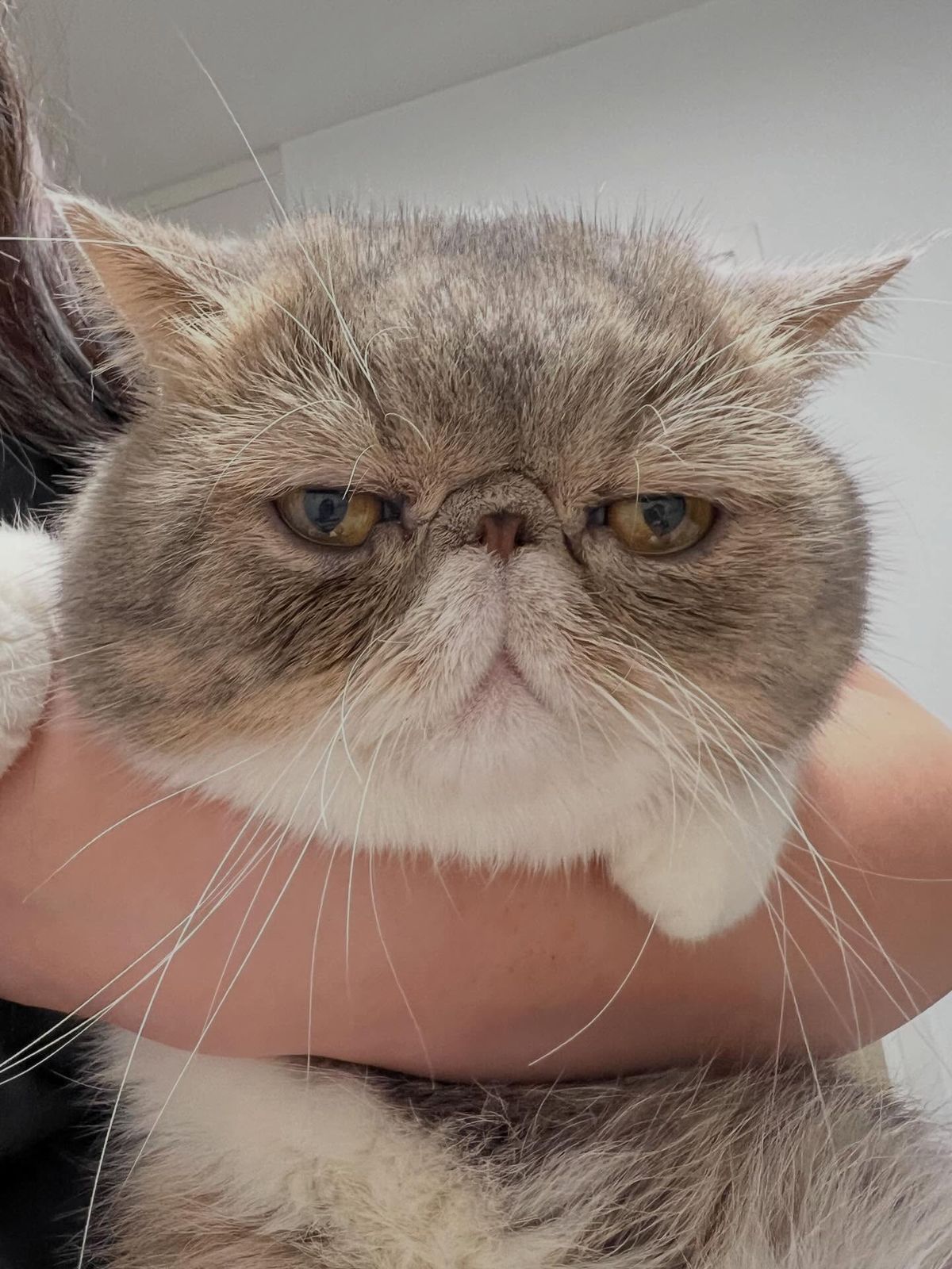 毛媽抱抱🤗⋯⋯

