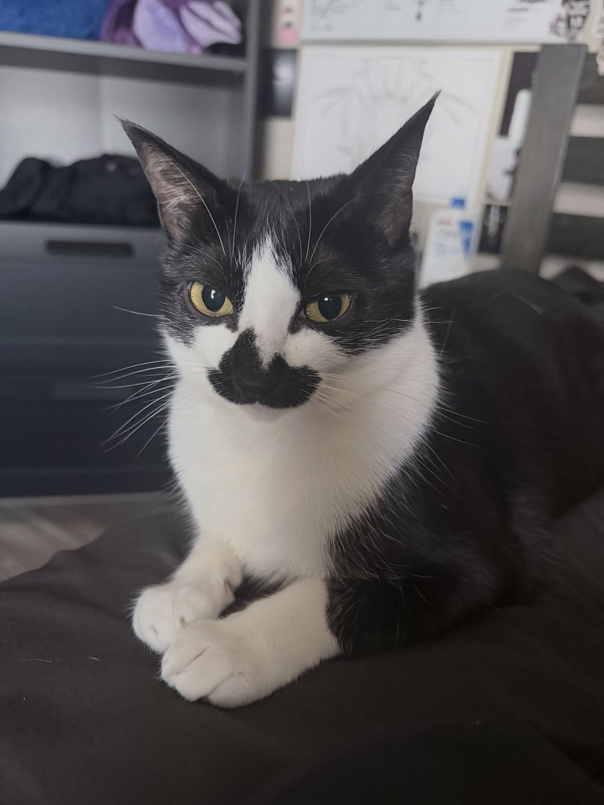goobular looking gorgeous 🖤
.
.
.
