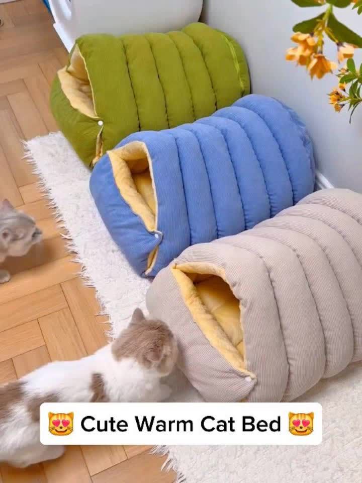 ⛓️‍💥 LINK IN BIO 👉cutemeowingcat ⛓️‍💥
Cute Warm Cat Bed 😻
⛓️‍💥 LINK IN BIO 👉cutemeowingcat ⛓️‍💥
Store: cutecatnation.com
.
.
.
.
.
.
Cats have a specialized collarbone that lets them always land on their feet. The free-floating clavicle combined with an extremely flexible backbone allows cats to perform a mid-air righting reflex in as little as 0.3 seconds. They twist their front body first, then their back body follows, using their tail as a counterbalance. Kittens develop this ability by 7 weeks old. Surprisingly, cats falling from higher floors often survive better than those falling from lower ones because they have more time to spread their legs like a parachute, reaching a terminal velocity of about 60 mph.
