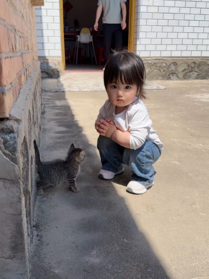 📽 from @可爱的日常 | DY
