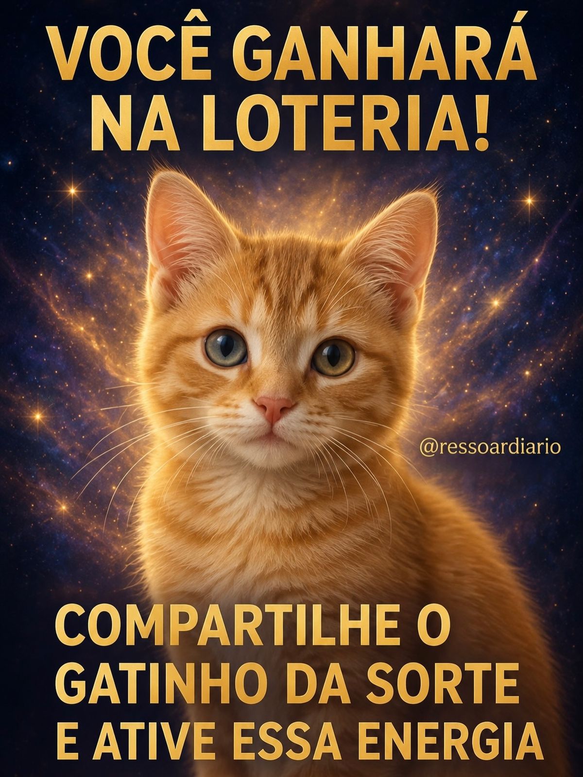 🍀 